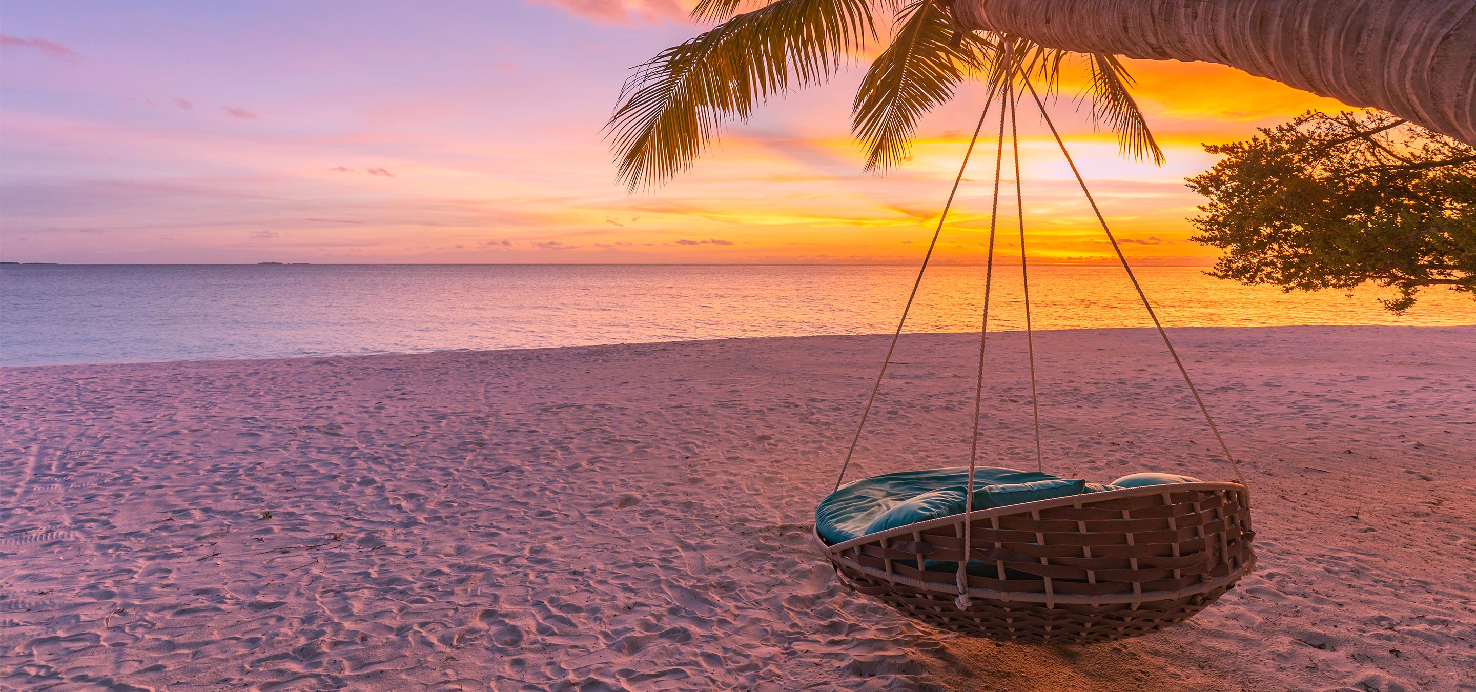 Hero Background Image